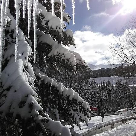 Appartamento Les Marmottes Arpajon-sur-Cere Esterno foto