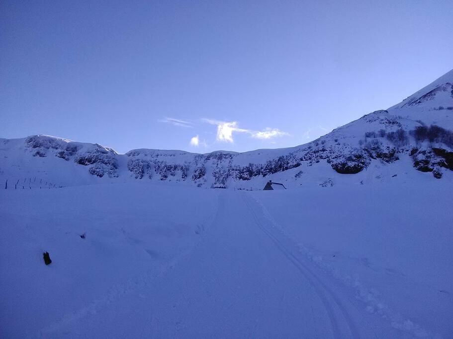 Appartamento Les Marmottes Arpajon-sur-Cere Esterno foto